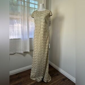 NWT Calvin Klein Beige Metallic Mesh Cap Sleeve Stretchy Floor Length Gown